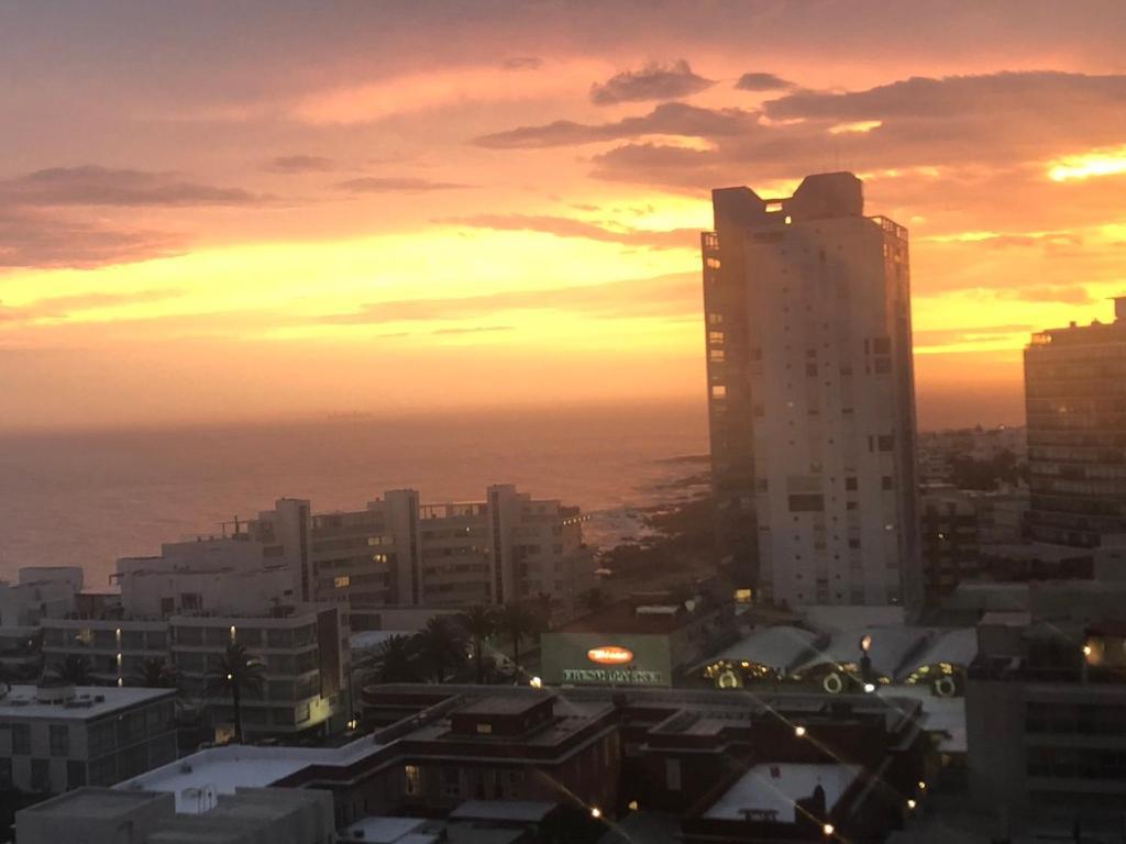 Bahia Palace, Best View And Location! Punta del Este Eksteriør billede